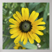 gris foraday Floral Jaune Imprimer