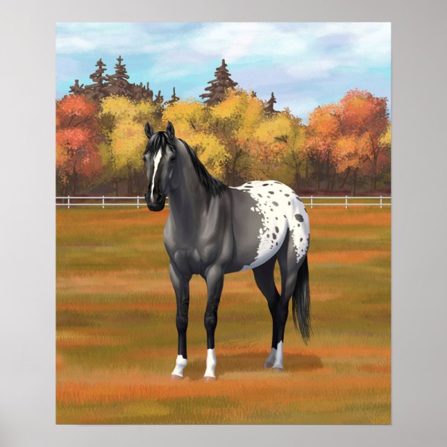 Poster Gris Grulla Appaloosa Quartier Horse Stallion (Devant)