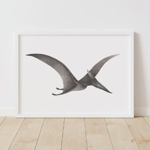 Poster gris Pteradactyl Dinosaur Imprimer