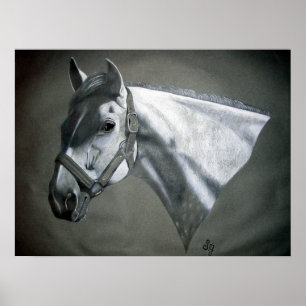 Poster Gris sur Gris