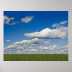 Poster gris vert, ciel bleu, nuage blanc