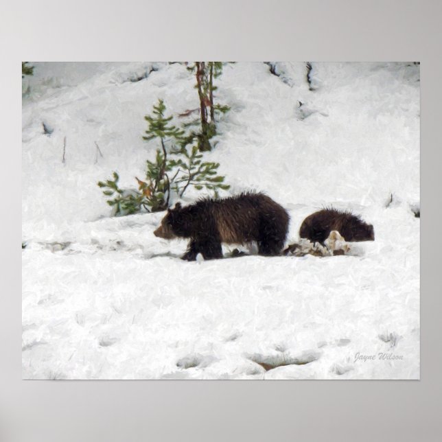Poster Grizzlies dans l'affiche de neige Imprimer (Devant)