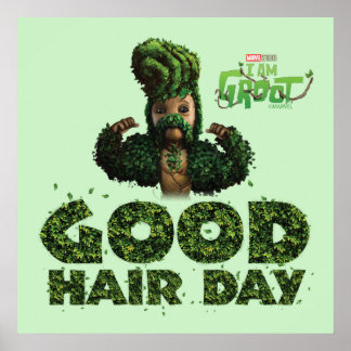 Poster Groot - Bonne journée des cheveux
