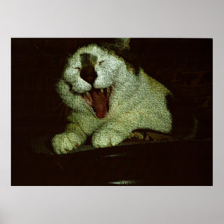 Poster Gros bébé Bud