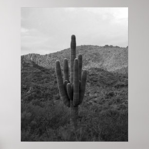 Poster Gros cactus Saguaro noir et blanc en Arizona 16x20