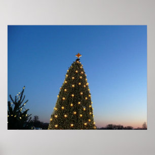 Poster Gros et petits arbres de Noël I Coucher de soleil 