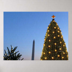 Poster Gros et petits arbres de Noël II Vacances à DC