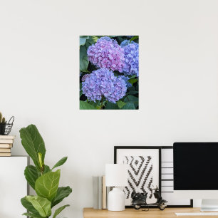 Poster Gros Hortensia Beau Blooms Floral