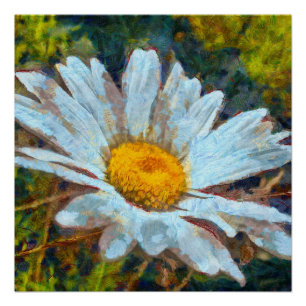 Poster Gros plan artistique d'une fleur marguerite