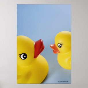 Poster Gros plan de deux canards en caoutchouc