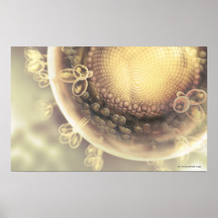 Poster Gros plan de la structure d'une cellule VIH