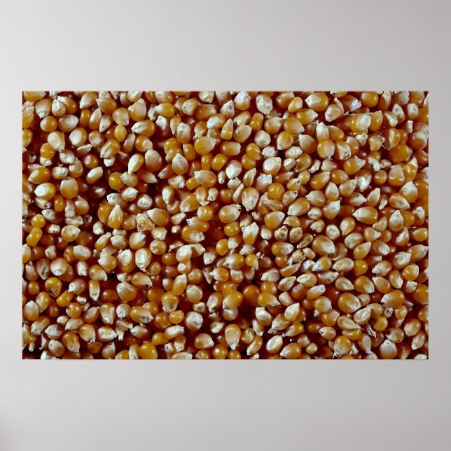 Poster Gros plan de la texture des grains de maïs soufflé (Devant)