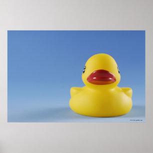 Poster Gros plan d'un canard en caoutchouc