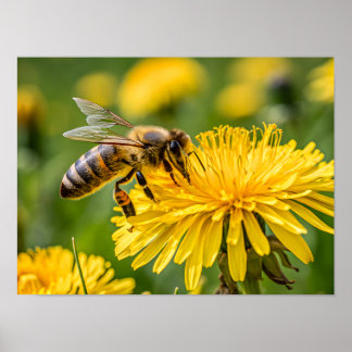 Poster Gros plan d'une abeille à miel collectant du necta