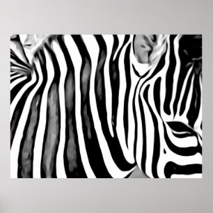 Poster Gros plan pour Zebra