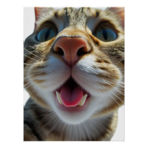 Gros plan sur le chat | Goofy Cute Cat Art