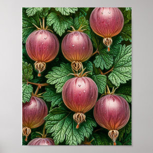 Poster Groseille nature art