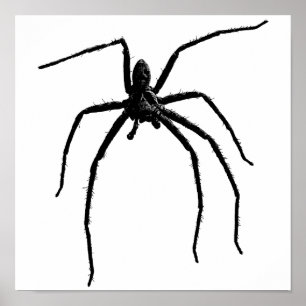 Poster Grosse araignée d'halloween effrayant