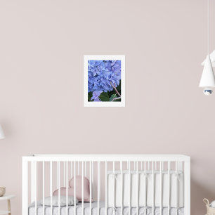 Poster Grosse Fleur d'Hydrangea à Tête Bleue