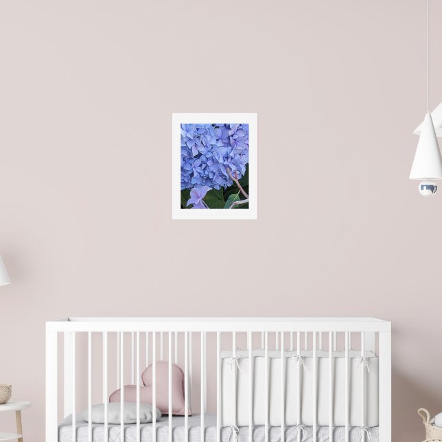 Poster Grosse Fleur d'Hydrangea à Tête Bleue (Pépinière 2)