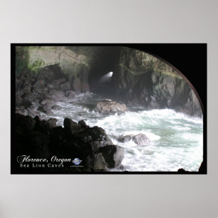 POSTER GROTTES DE LION DE MER