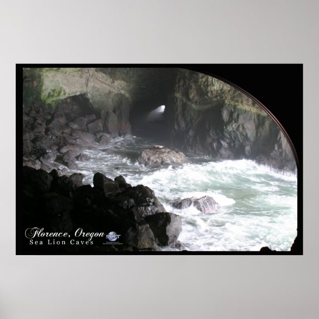 POSTER GROTTES DE LION DE MER (Devant)