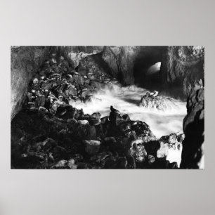 Poster Grottes de lions de la mer de l'Oregon Vue intérie