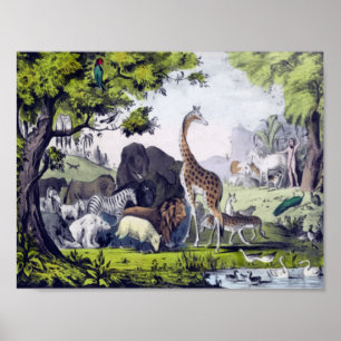 Poster Groupe d'animaux