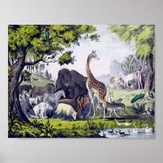 Poster Groupe d'animaux (Devant)