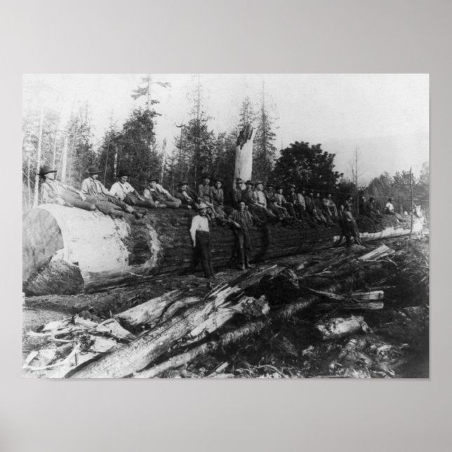 Poster Groupe de Lumberjacks sur une grande photo en rond (Devant)