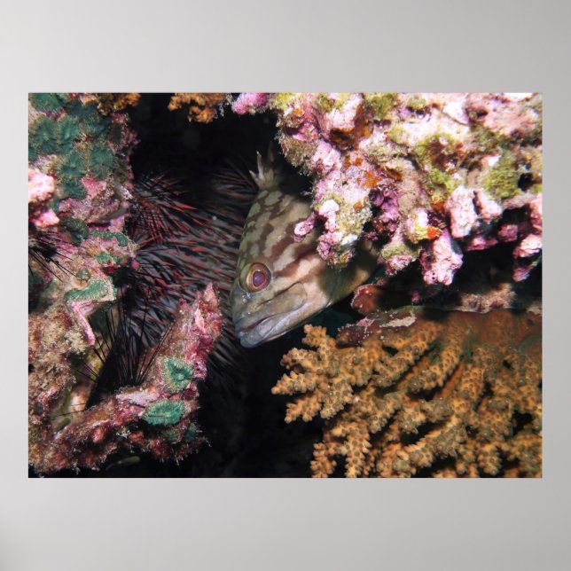 Poster Groupe de pointage (Devant)