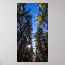 Groveport, Walnut Woods Metro Park, Groveport, OH