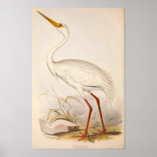 Poster Grue blanche de l'époque victorienne