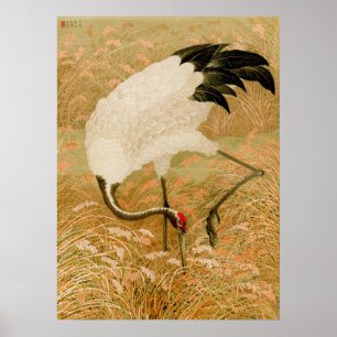 Poster Grue dans le champ de riz