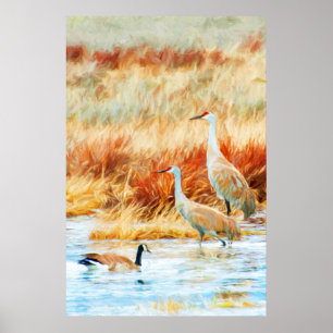 Poster Grues de Numidie & Oie