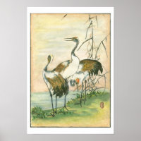 Grues orientales au bord de l'eau