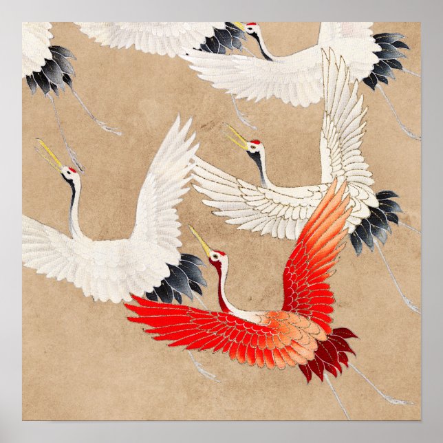 Poster Grues volantes japonaises (Devant)