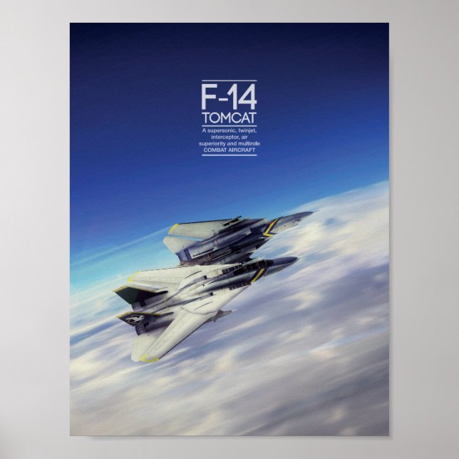 Poster Grumman F-14 Tomcat (Devant)