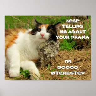 Poster Grumpy Calico Cat Drama Sarcasme