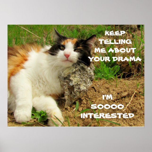 Poster Grumpy Calico Cat Drama Sarcasme (Devant)