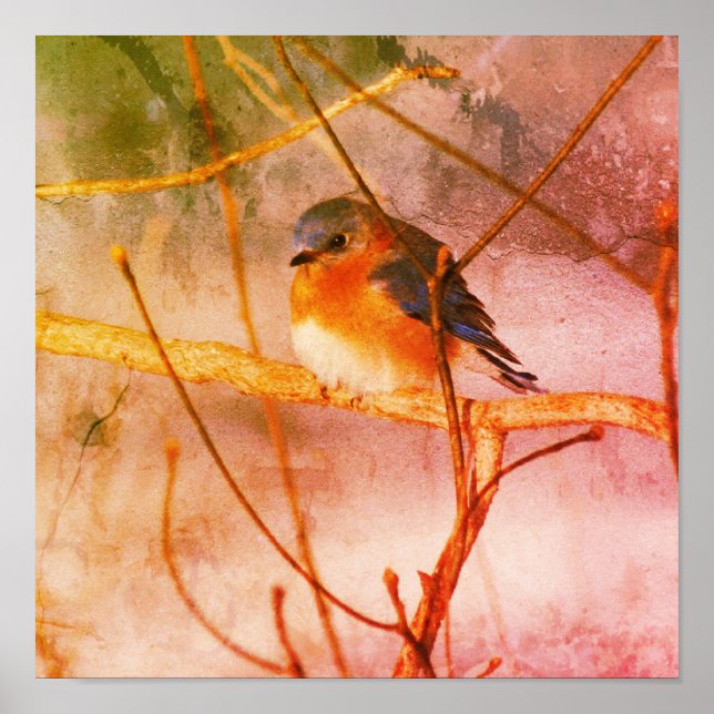 Poster Grunge Abstraite de Bluebird d'hiver (Devant)