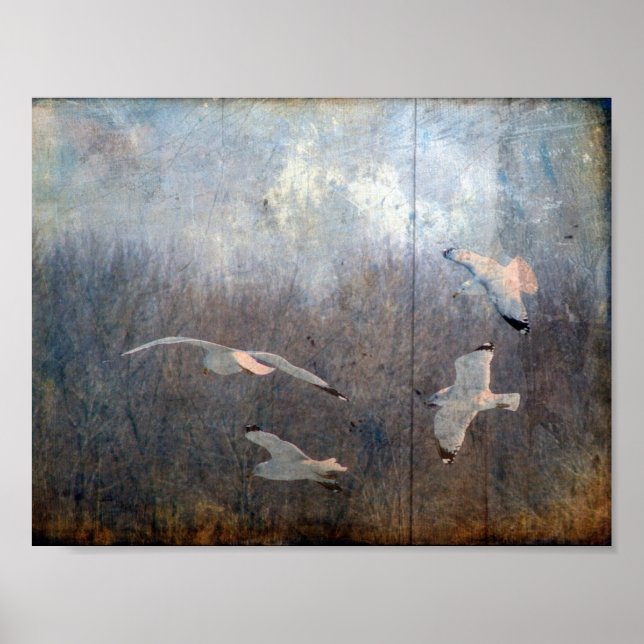 Poster Grunge de mouettes (Devant)