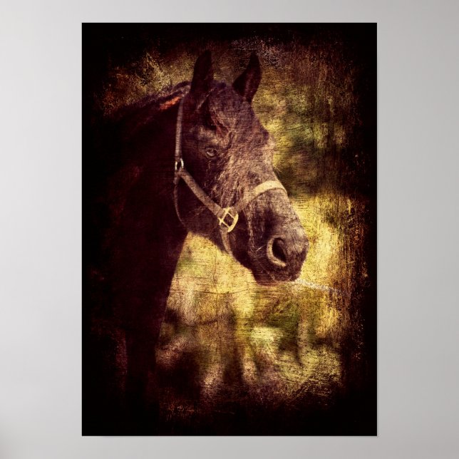 Poster Grunge Frésien (Devant)