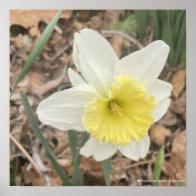 Gryforaday imprimé floral blanc