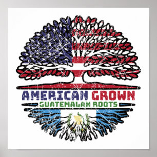 Poster Guatemala États-Unis États-Unis États-Unis