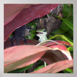 Poster Guerre des reptiles