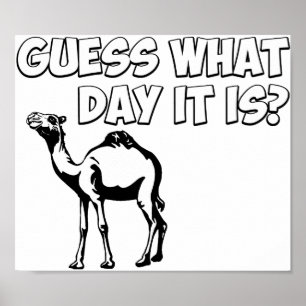 Poster Guess What Day it Is? Hump Day Camel