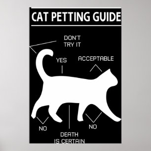 Poster Guide de préparation de chats