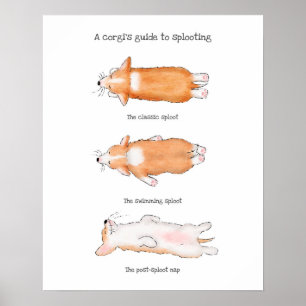 Poster Guide du chiot de corgi mignon pour le déploiement