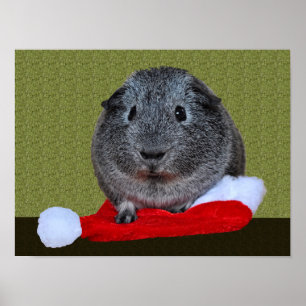 Poster Guinea Pig Christmas
